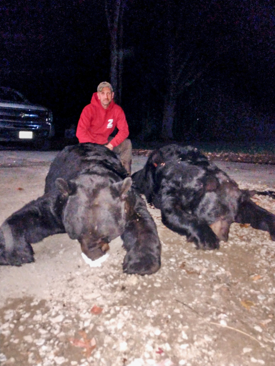 Melillo, back on his property with his record bear and the smaller carcass from another hunter’s haul.